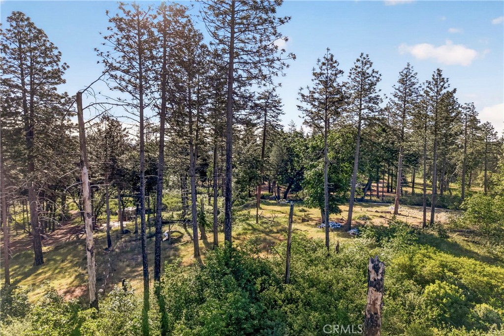 12471 Granite Ridge Road Oroville, CA 95965 - Photo 27 of 53