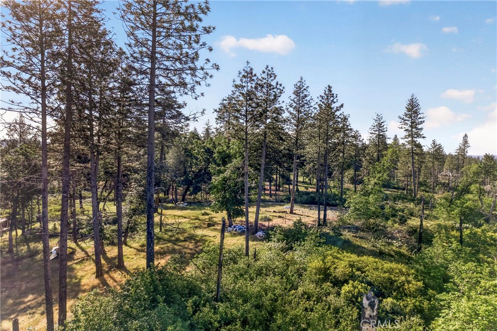 12471 Granite Ridge Road Oroville, CA 95965 - Photo 28 of 53