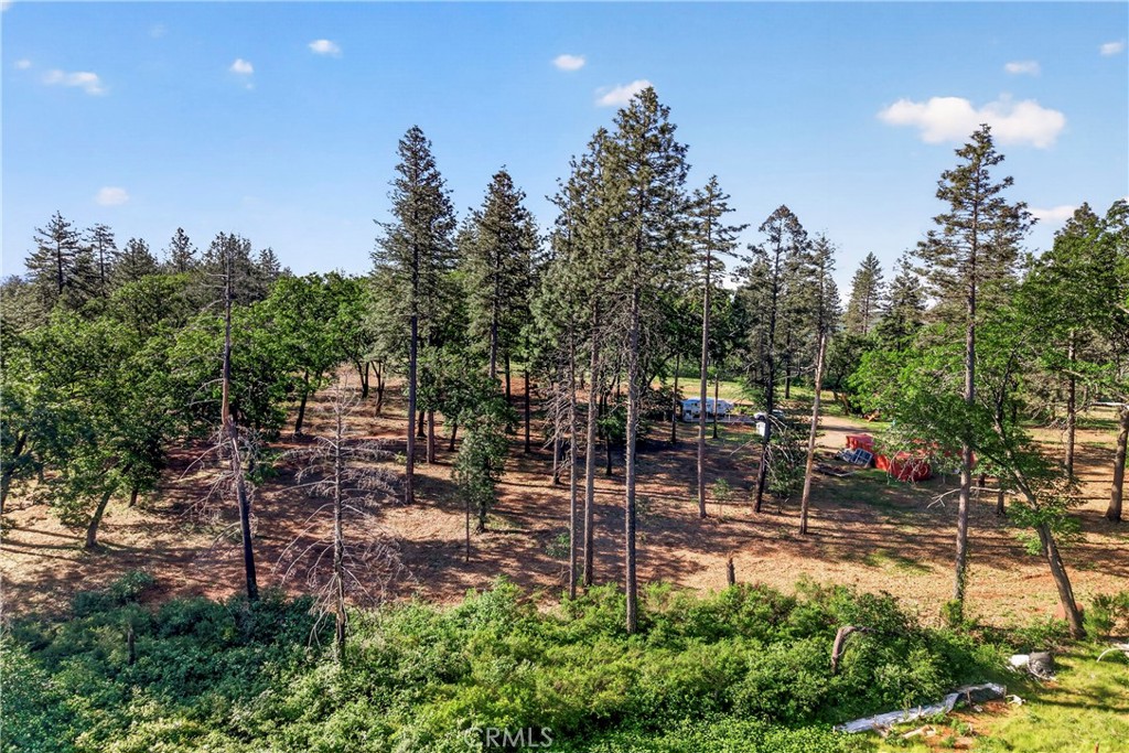 12471 Granite Ridge Road Oroville, CA 95965 - Photo 29 of 53