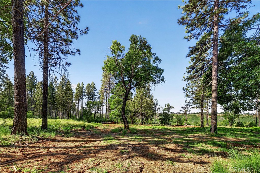 12471 Granite Ridge Road Oroville, CA 95965 - Photo 5 of 53