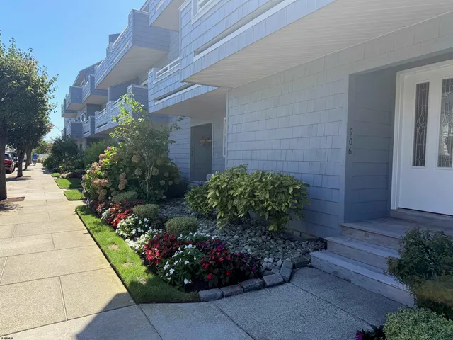 a view of a backyard with potted plants