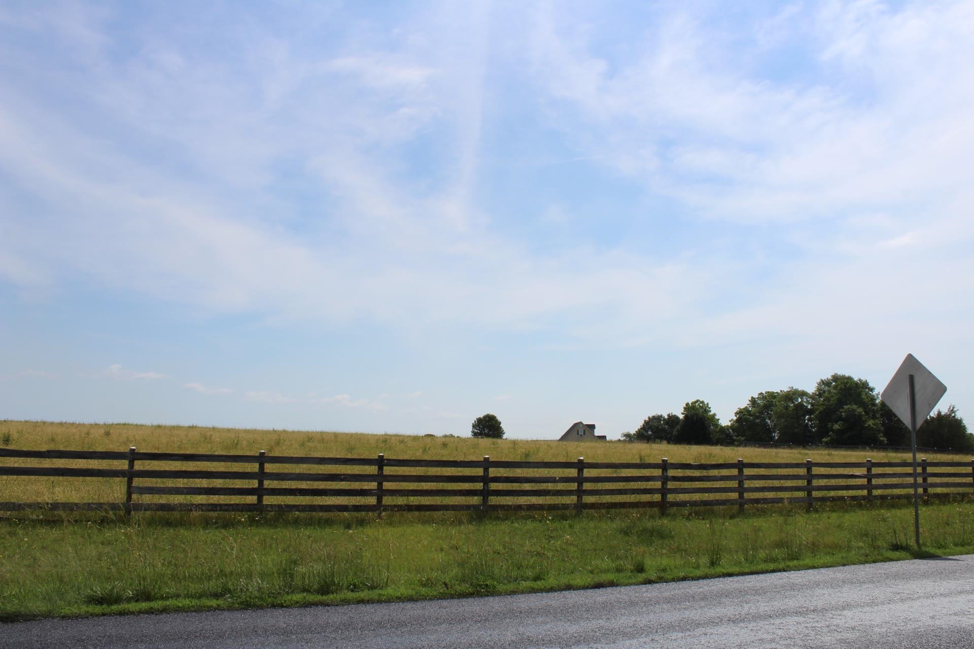 Lot 3 Ted Smith Road Rutherfordton, NC 28139 - Photo 13 of 19