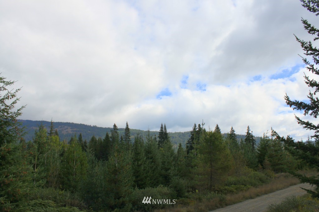 3 West Nelson Siding Road Easton, WA 98925 - Photo 1 of 7 Gallery Image 1