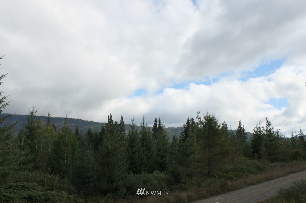 3 West Nelson Siding Road Easton, WA 98925 - Photo 6 of 7 Gallery Image 6