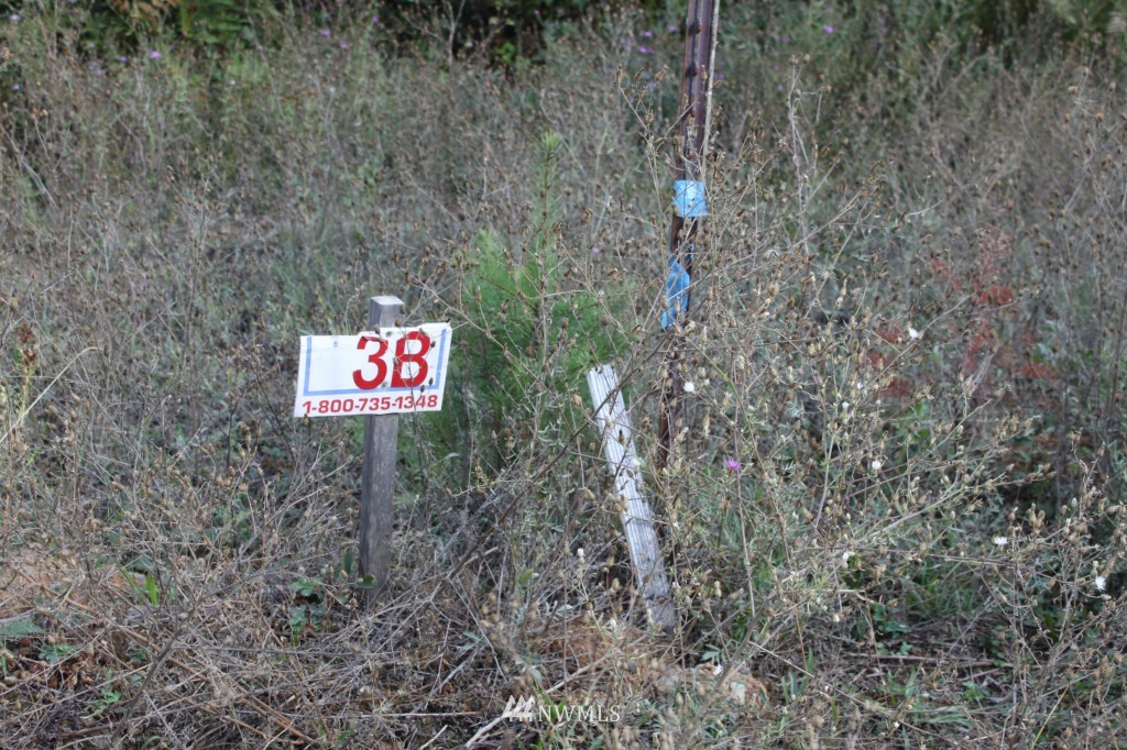3 West Nelson Siding Road Easton, WA 98925 - Photo 7 of 7 Gallery Image 7