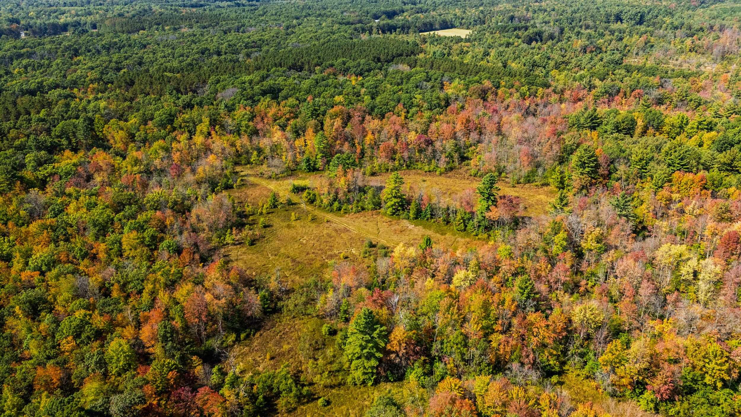 Lot 0 Lonesome Road Wisconsin Rapids, WI 54495 - Photo 14 of 16