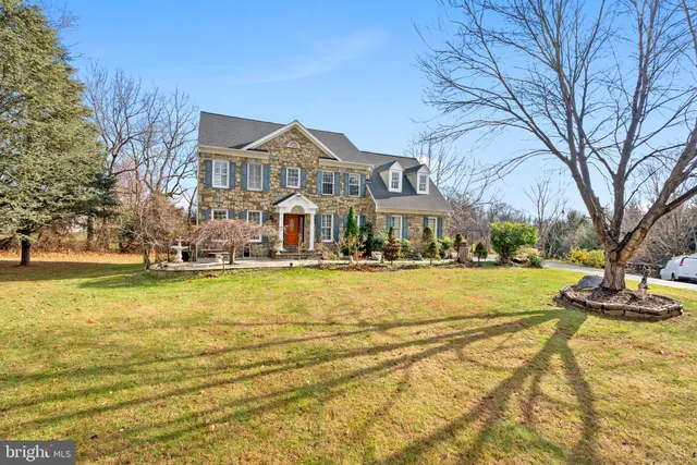 a view of swimming pool with outdoor seating and large trees