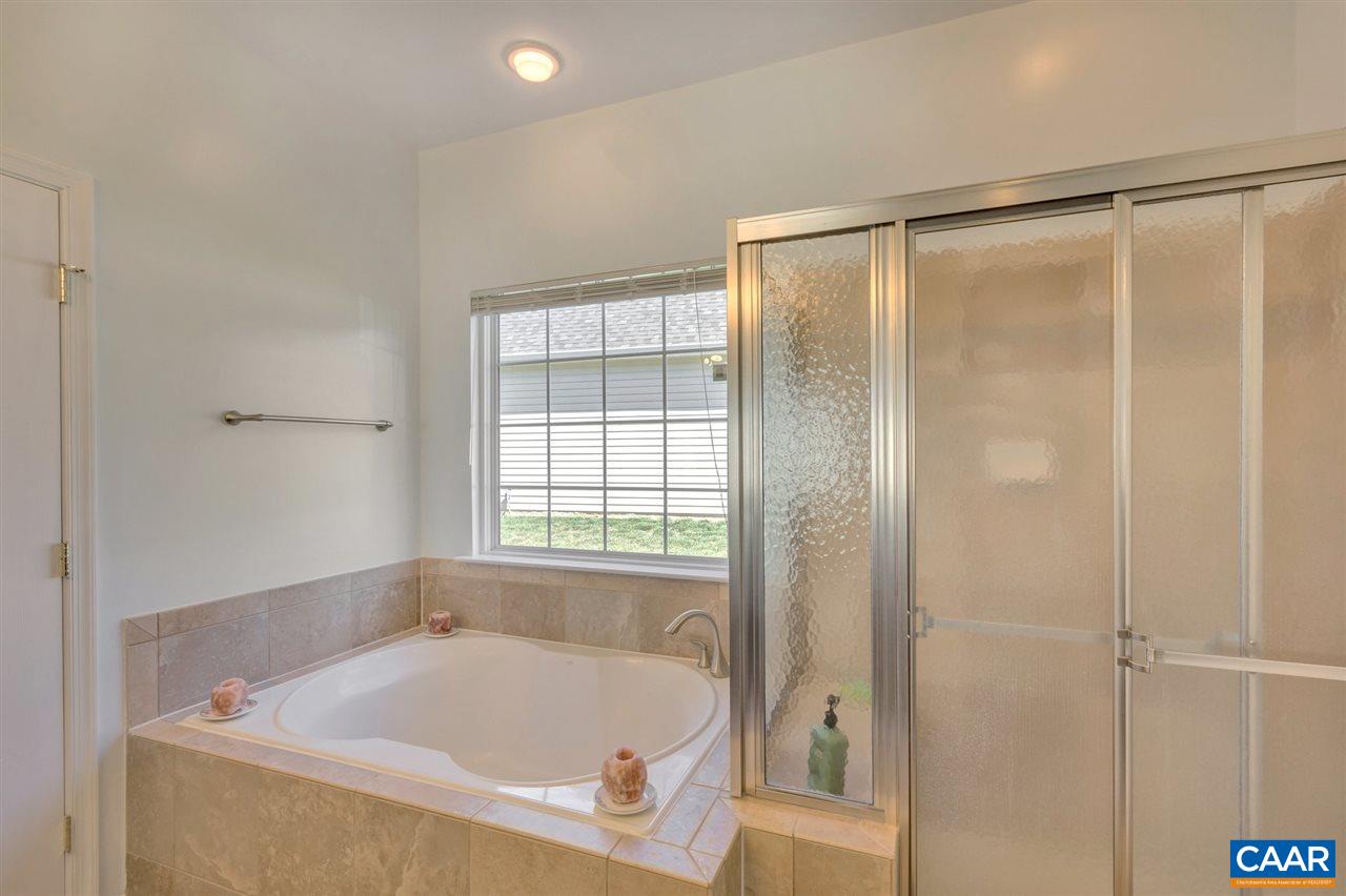 43 John Rucker Drive Ruckersville, VA 22968 - Photo 20 of 28 Gallery Image 20