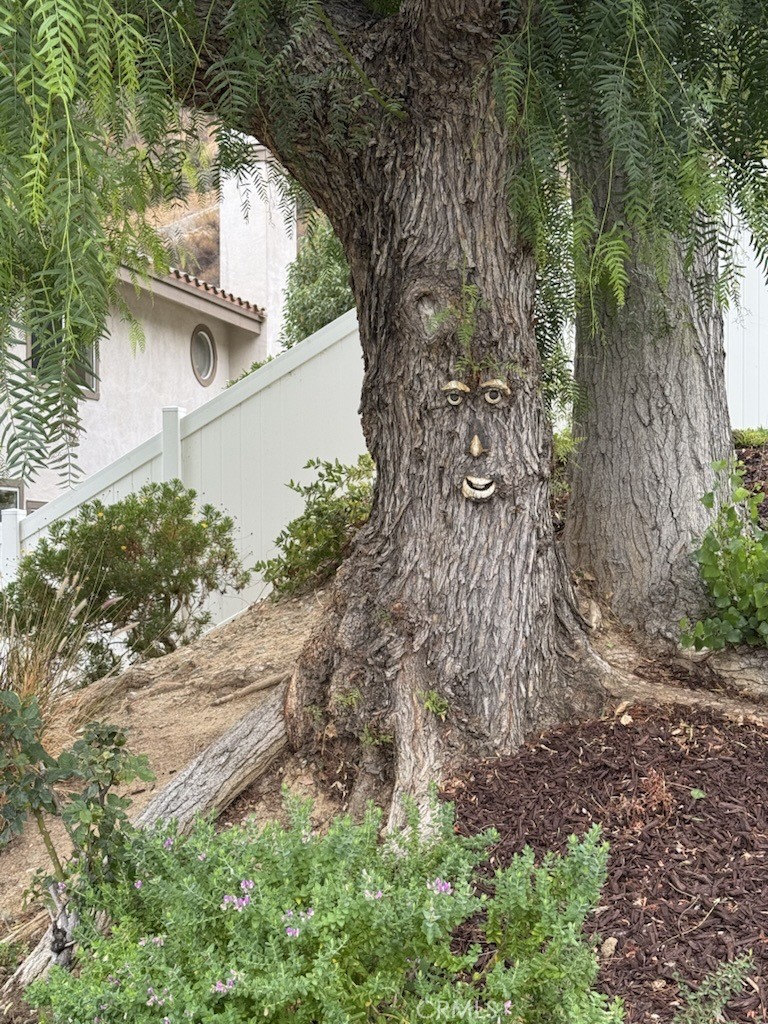 4150 San Ramon Drive Corona, CA 92882 - Photo 28 of 30 a backyard of a house with lots of green space