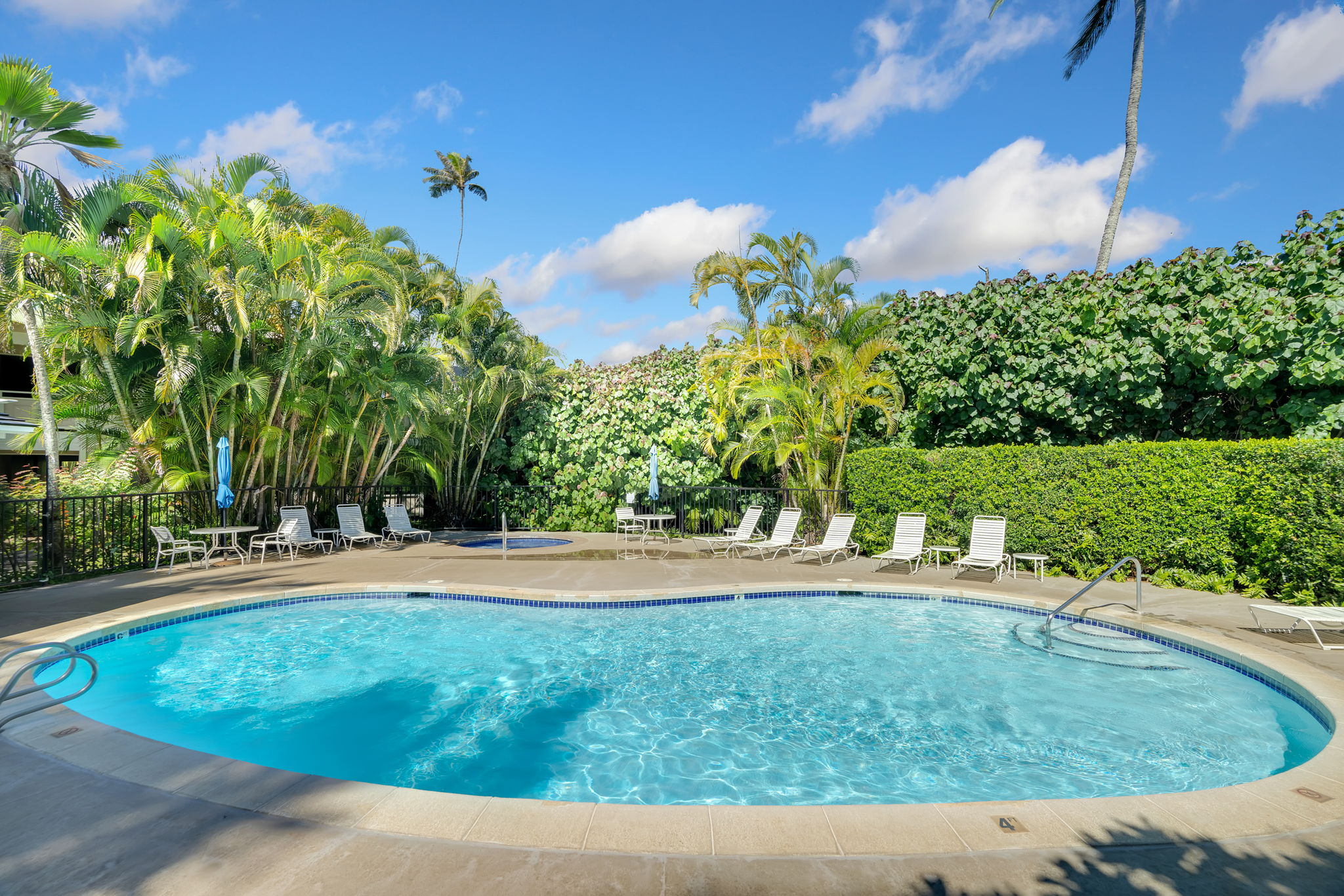 525 Aleka Loop, Unit H7 Kapaa, HI 96746 - Photo 18 of 30 a backyard of a house with lots of green space