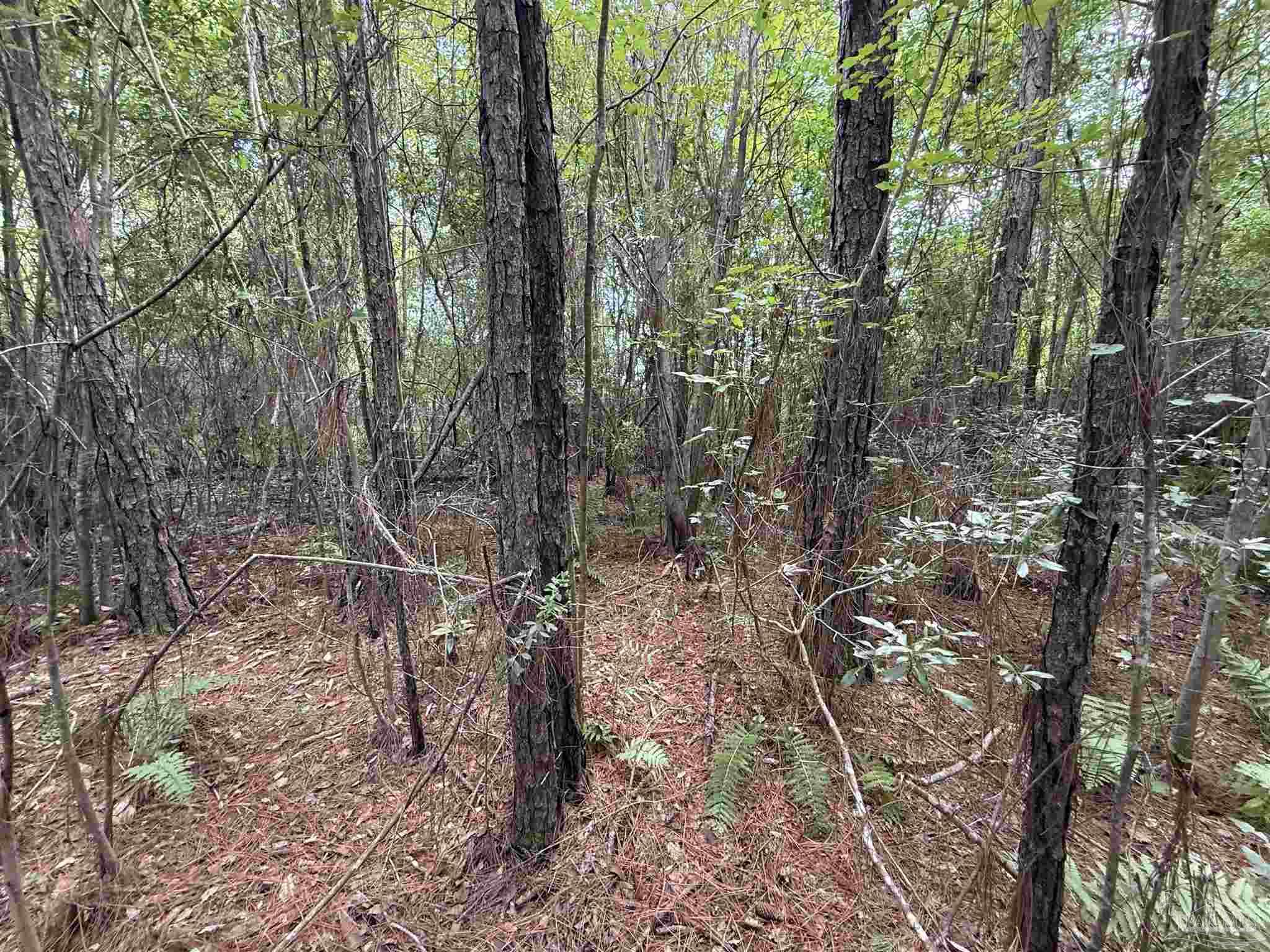 0 San Raphael Street Milton, FL 32583 - Photo 15 of 16 Gallery Image 15