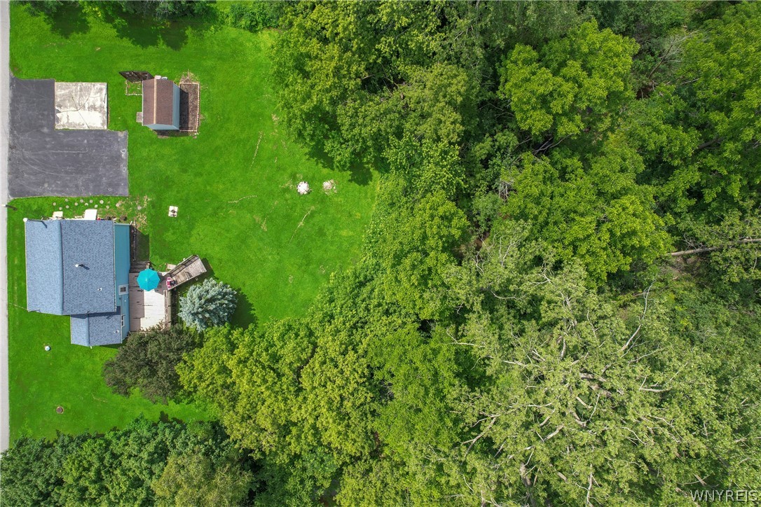 92 Steinfeldt Road Lancaster, NY 14086 - Photo 4 of 32