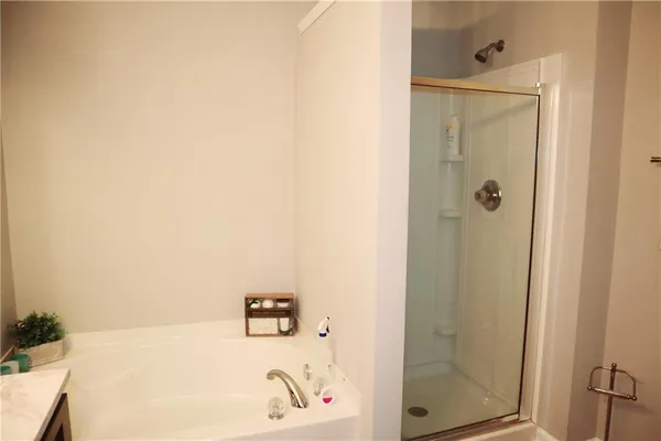 a bathroom with a bathtub and a shower