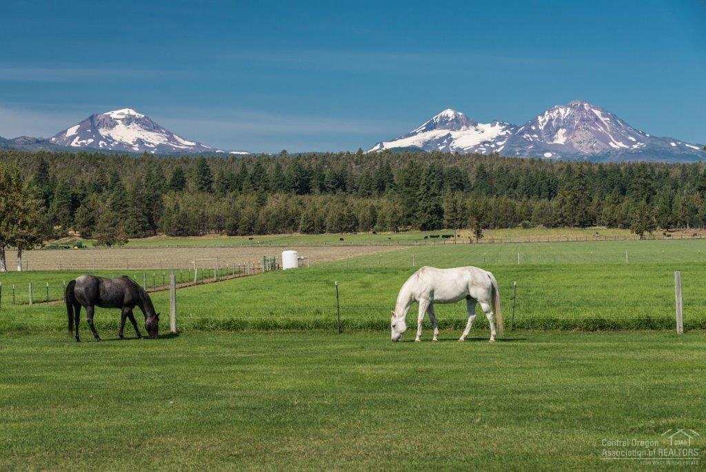 18565 Collins Road Bend, OR 97703 - Photo 6 of 20 Additional Photo