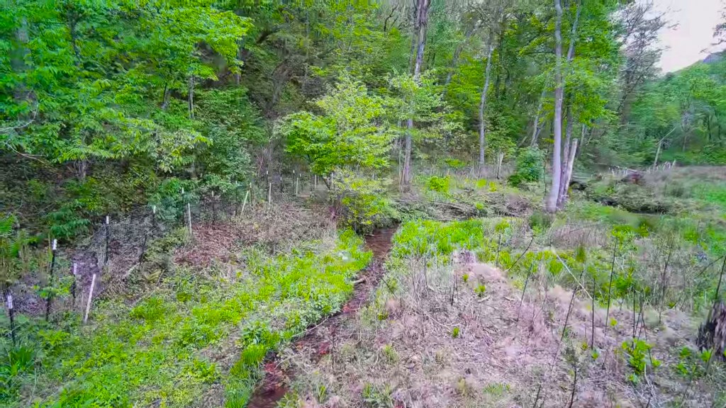 3325 Pack Mountain Road Murphy, NC 28906 - Photo 61 of 69