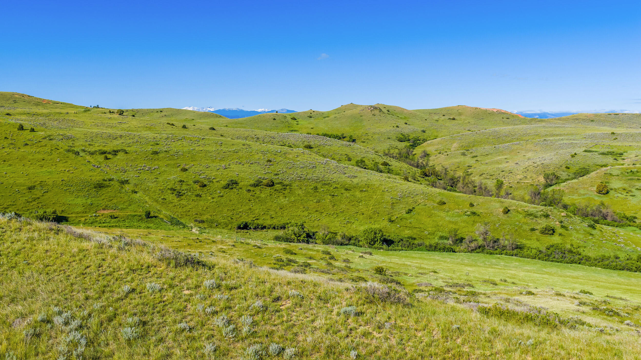 490 Cat Creek Road Sheridan, WY 82801 - Photo 58 of 71 490 cat creek 27