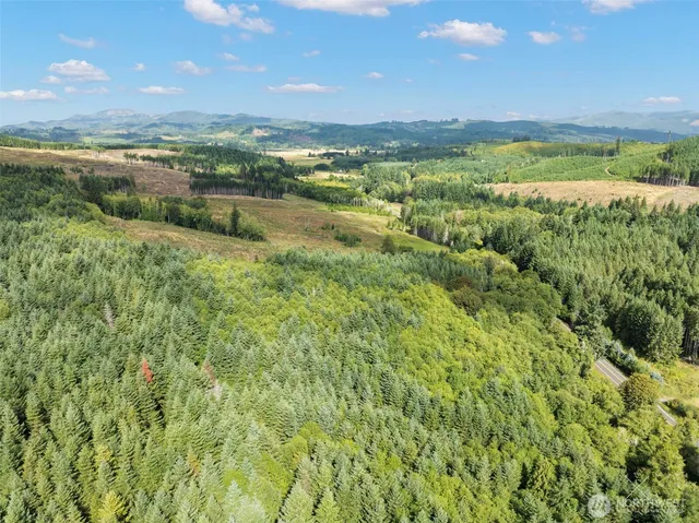 $134,900 | 0 Pe Ell McDonald Road, Chehalis, WA 98532