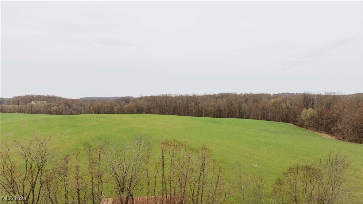 7146 Crowder Road Southwest Sherrodsville, OH 44675 - Photo 5 of 33 View of local wilderness with a wooded view