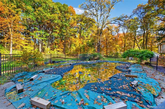 a view of a trees with a big yard