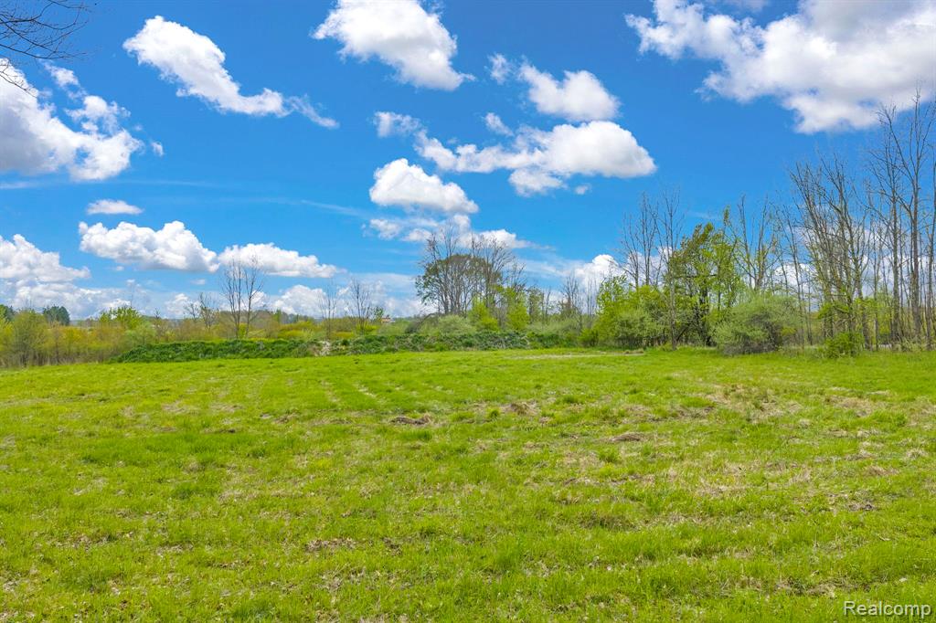0 Martin Road Capac, MI 48014 - Photo 15 of 20