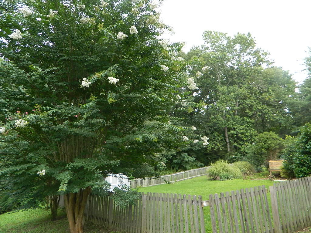 12 Mark Circle Flintstone, GA 30725 - Photo 31 of 32 DSCN4967