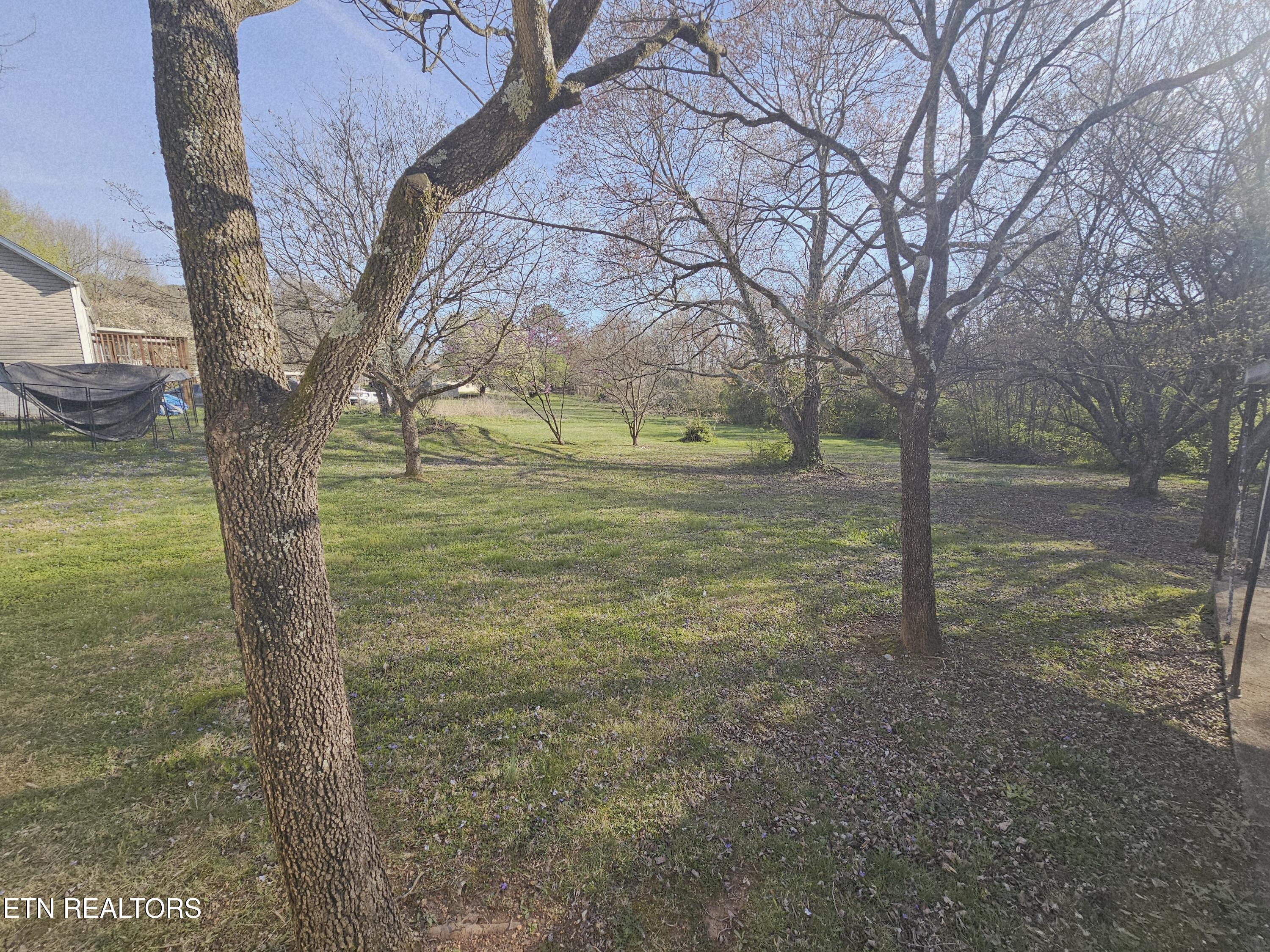 2304 Croydon Road Northwest Knoxville, TN 37921 - Photo 9 of 29 20260314_173226