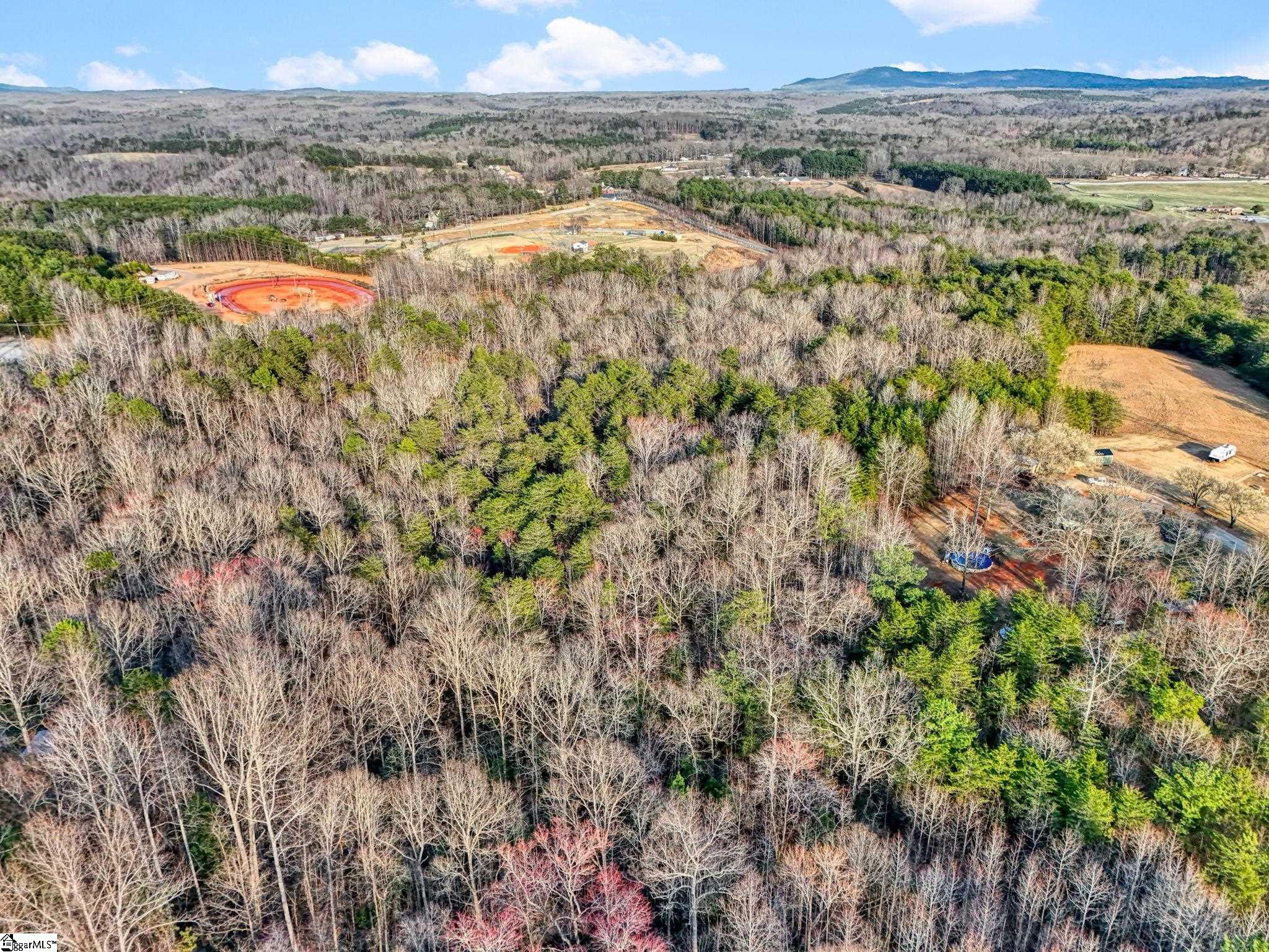 0 Cribbs Way Easley, SC 29640 - Photo 10 of 19