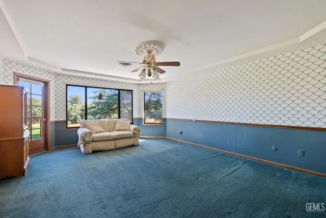 a view of a yard with plants