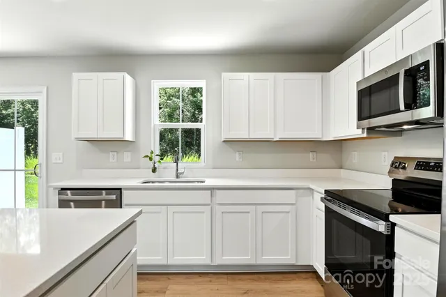 a bathroom with a sink a mirror and a shower