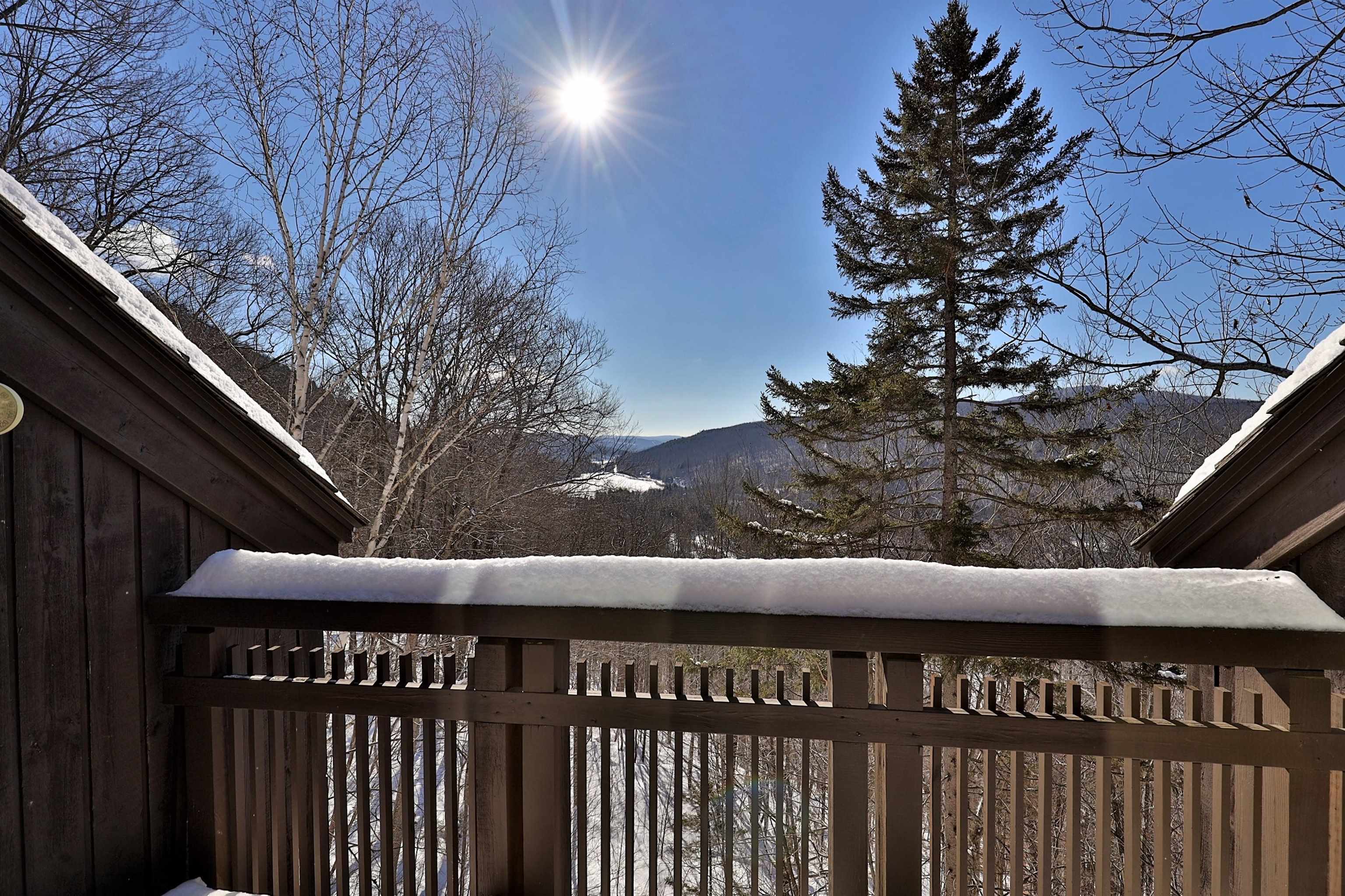 116 Coopers Trace Road Plymouth, VT 05056 - Photo 24 of 39 Gallery Image 24