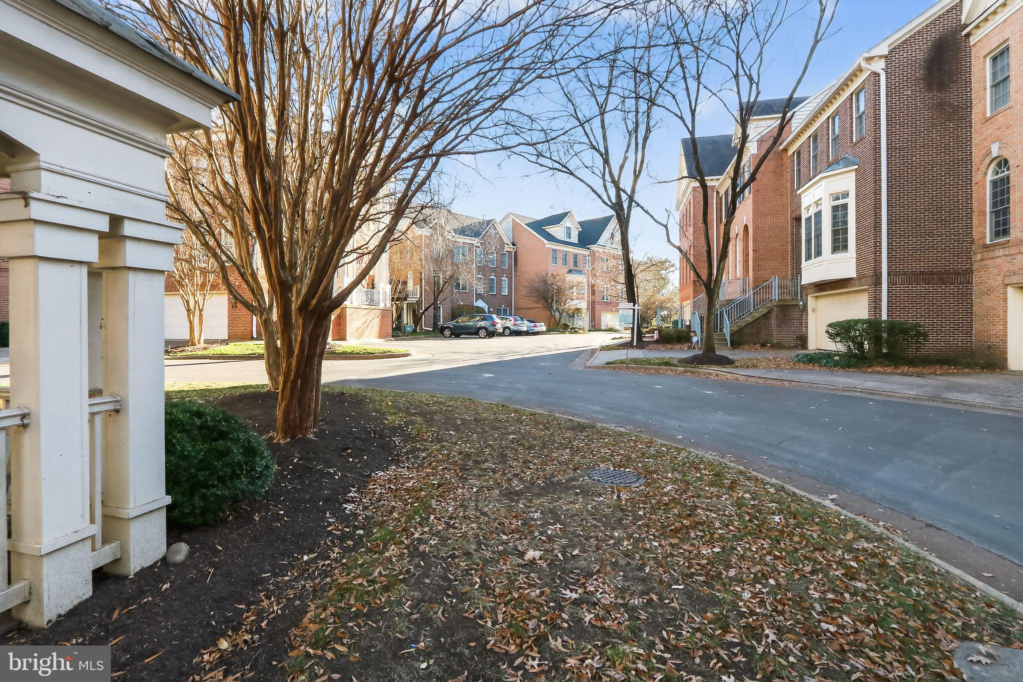128 Rees Place Falls Church, VA 22046 - Photo 16 of 29 a view of road with trees around