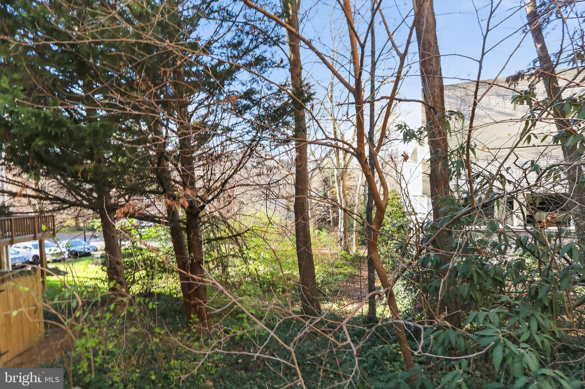 128 Rees Place Falls Church, VA 22046 - Photo 18 of 29 a backyard of a house with lots of green space