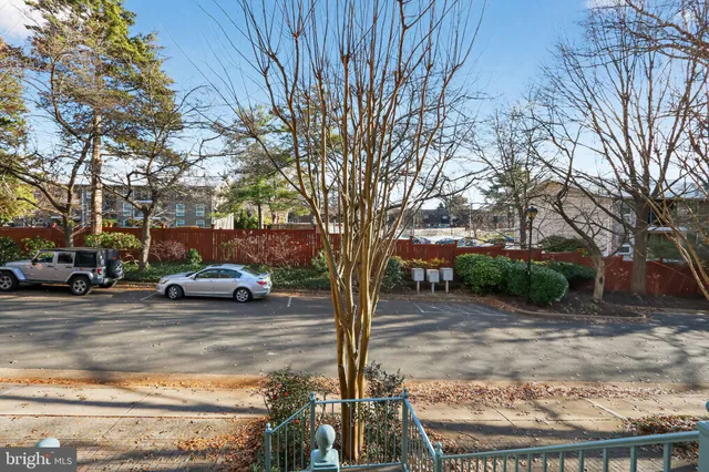 a view of yard with large tree