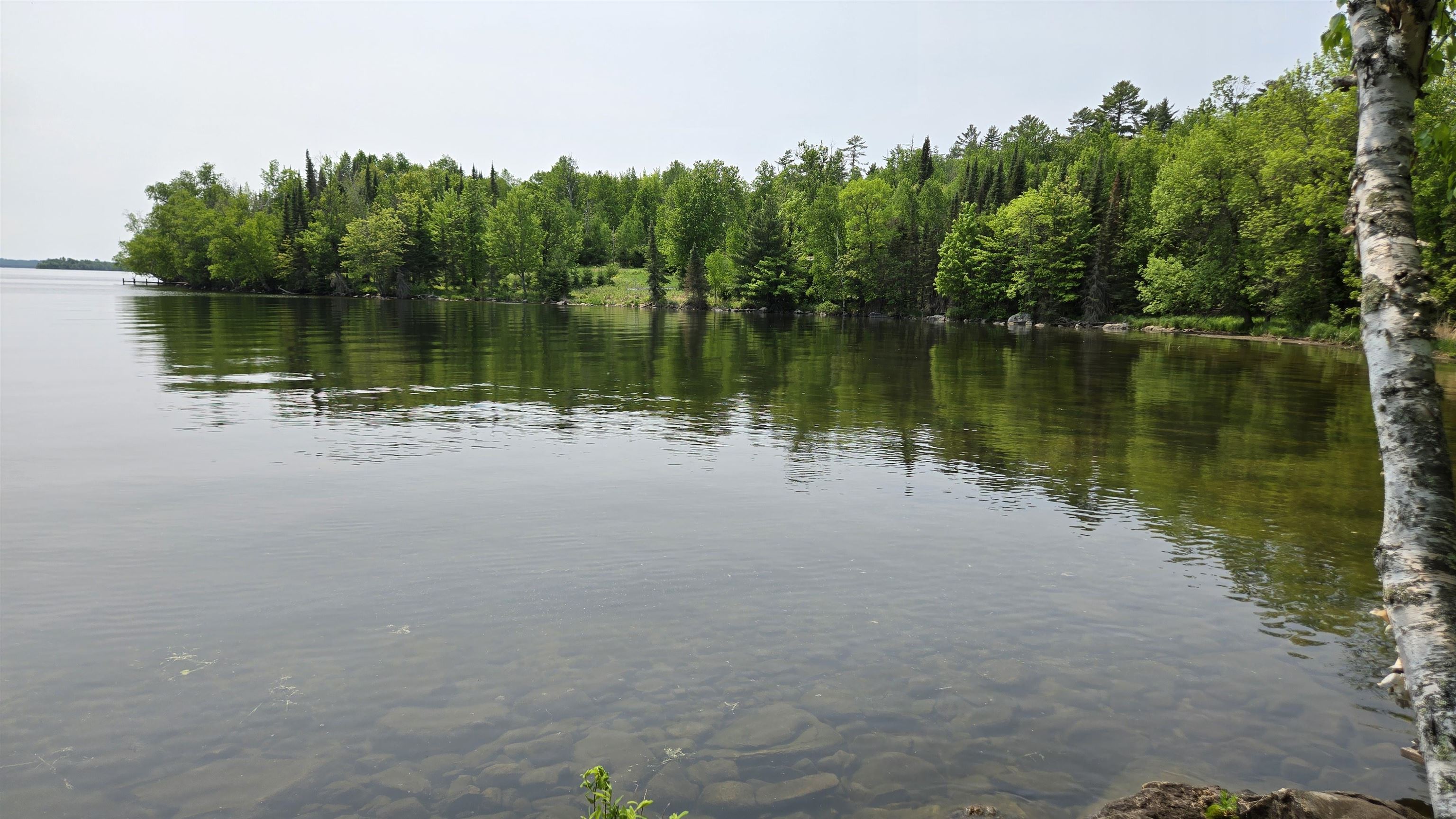 10898 Bessette Road Orr, MN 55771 - Photo 41 of 49 Water view with a forest