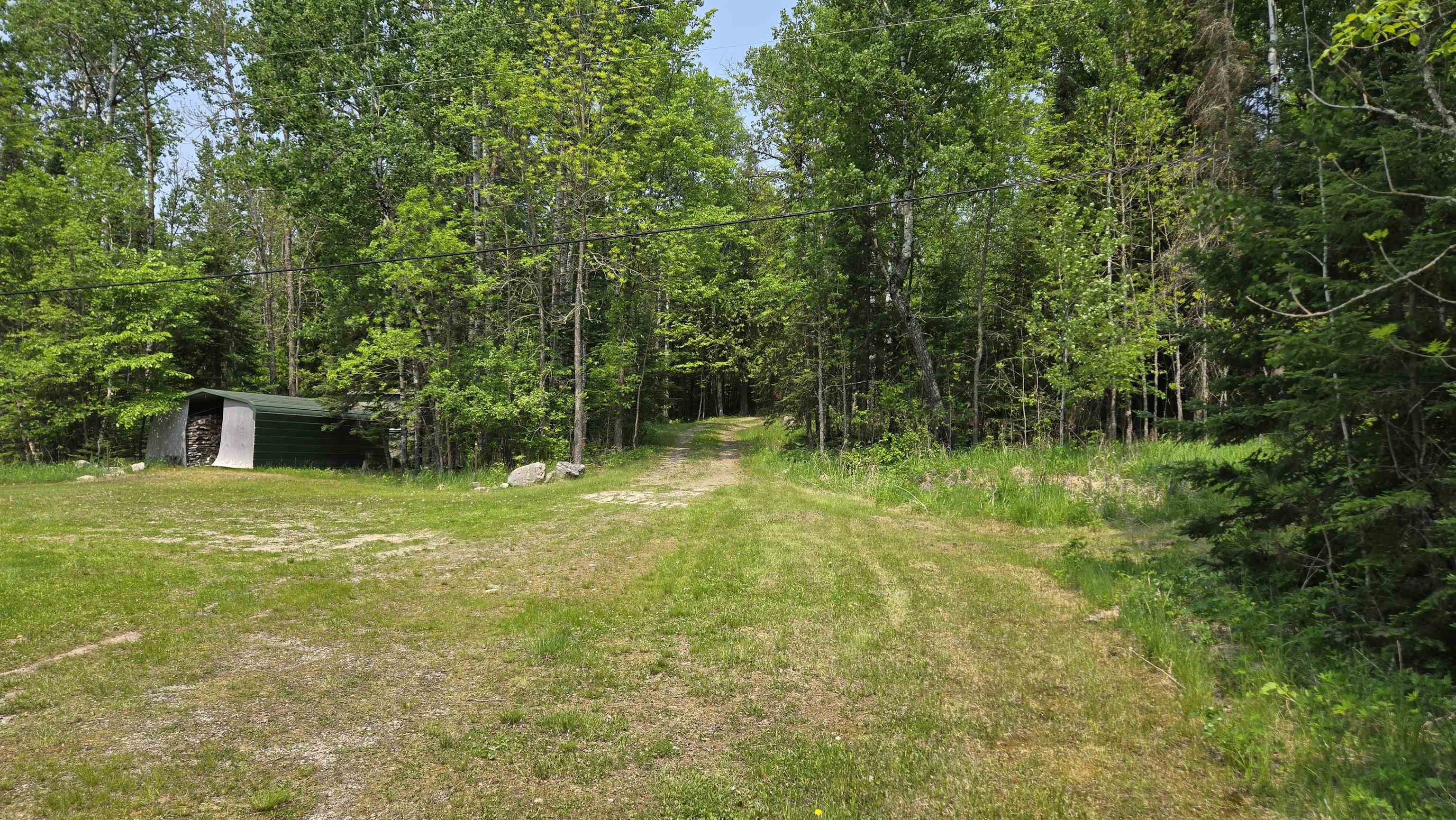 10898 Bessette Road Orr, MN 55771 - Photo 43 of 49 View of yard featuring an outbuilding and a view of trees