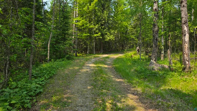 $749,000 | 10898 Bessette Road, Orr, MN 55771