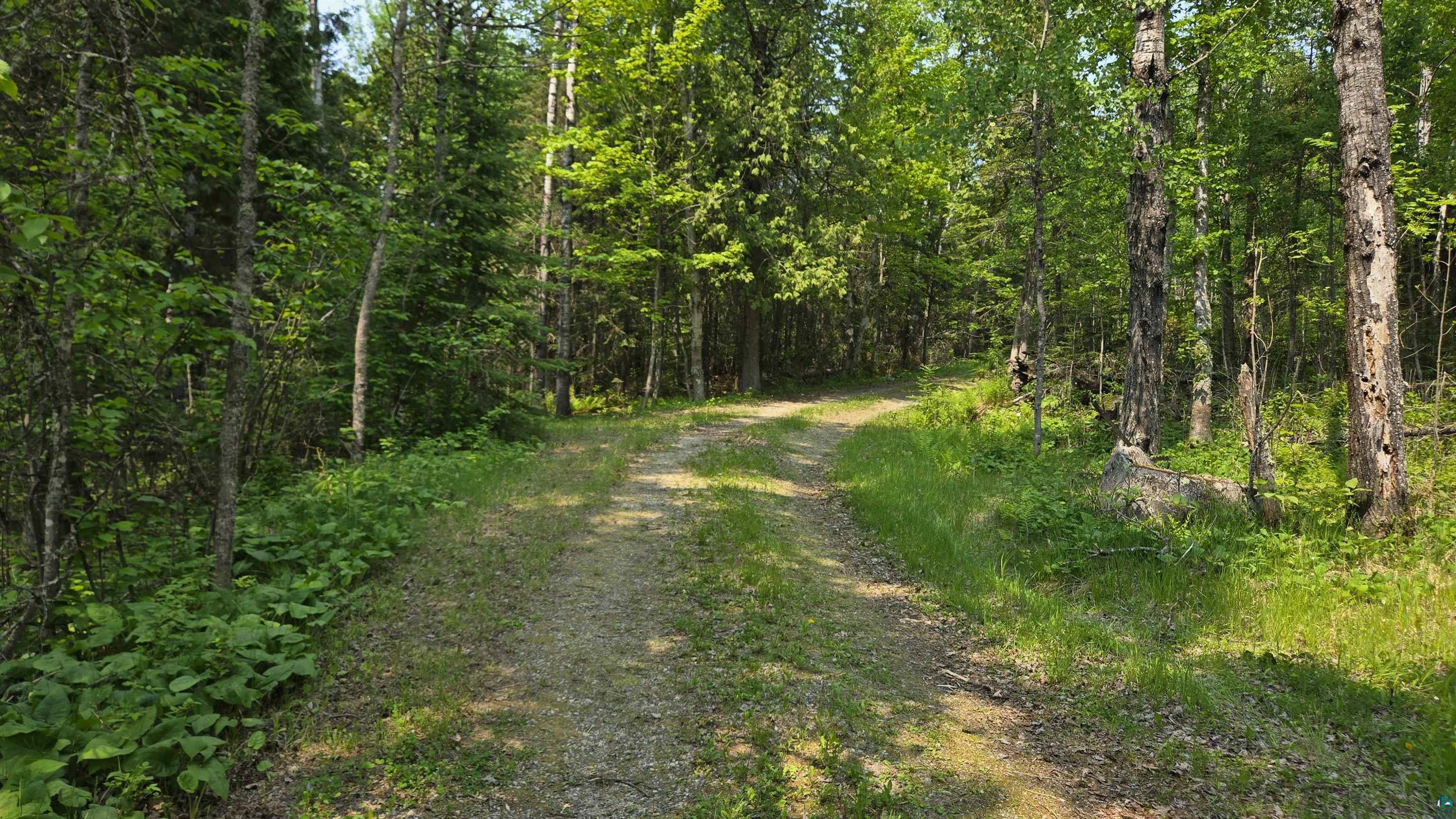 10898 Bessette Road Orr, MN 55771 - Photo 48 of 49 View of street with a view of trees