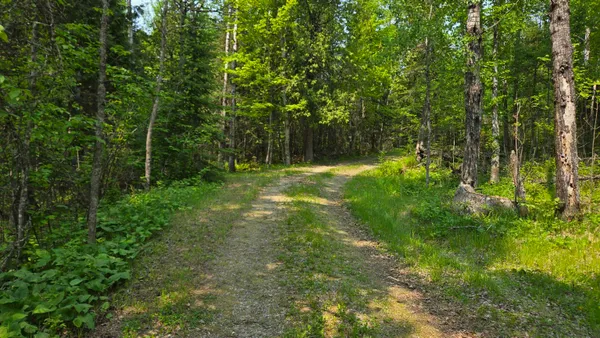 $610,000 | 10898 Bessette Road, Orr, MN 55771