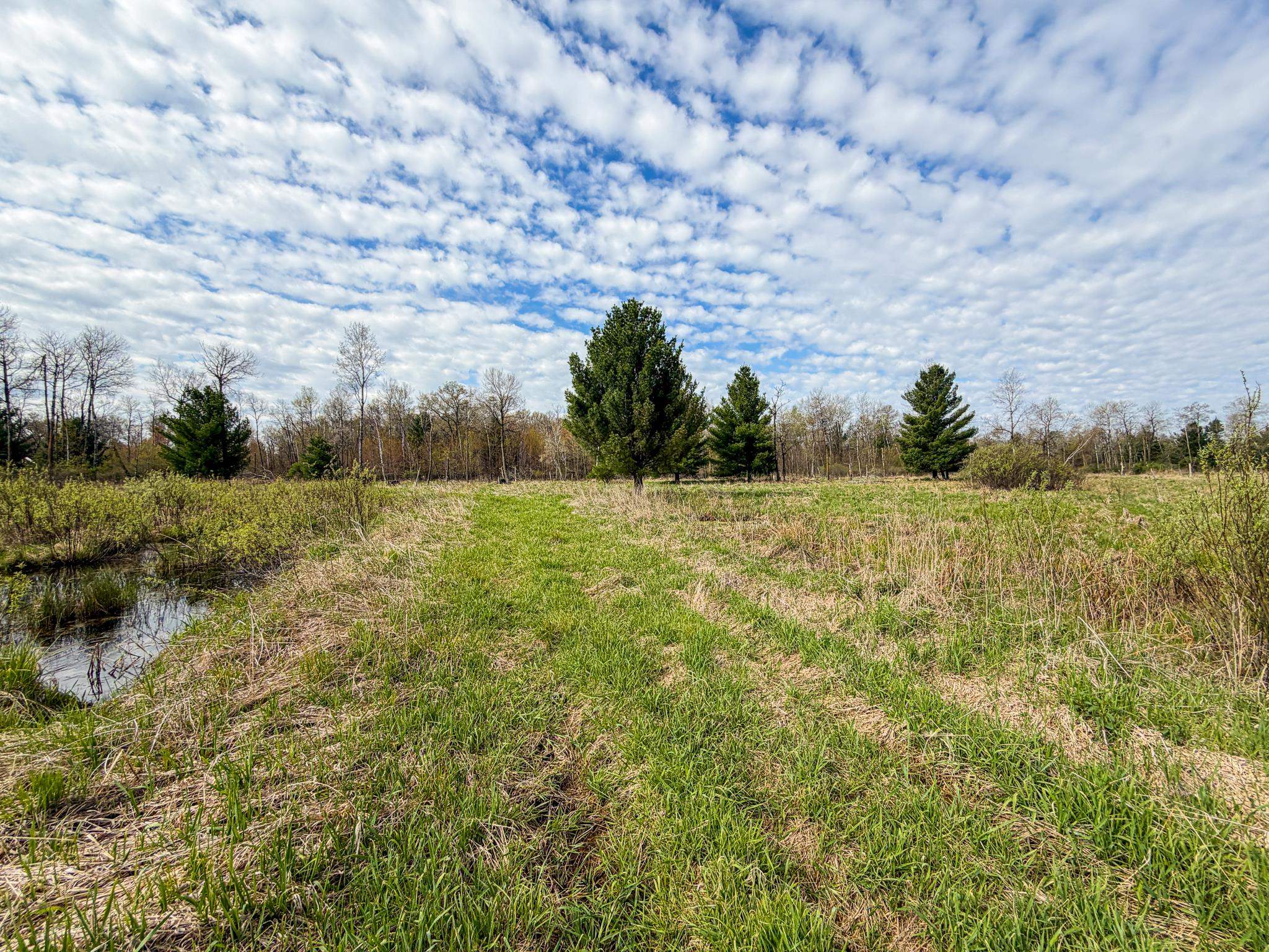 0 County Rd C New Lisbon, WI 53950 - Photo 14 of 90 Gallery Image 14