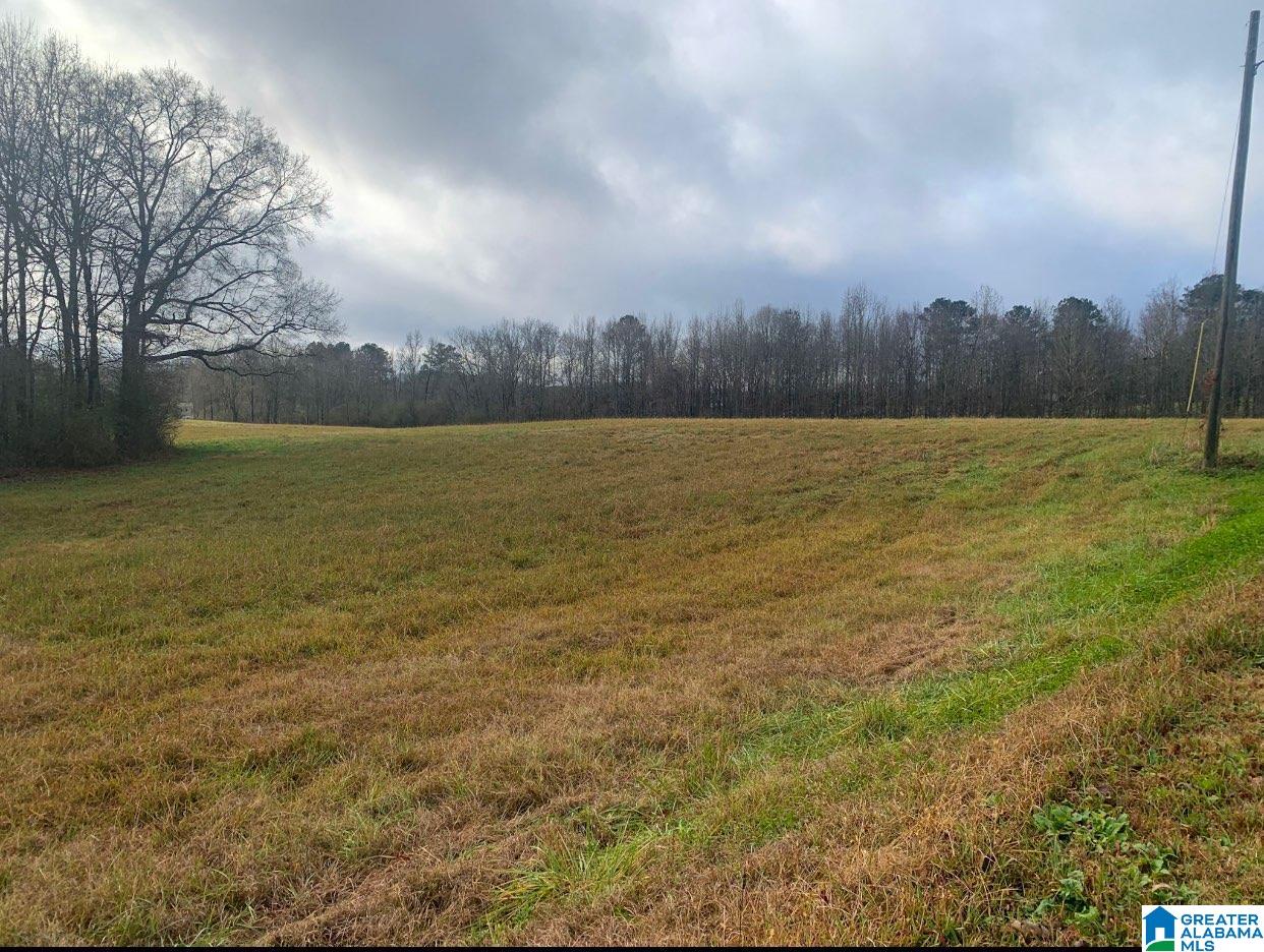 0 Souls Chapel Road, Unit 1 Oneonta, AL 35121 - Photo 2 of 6