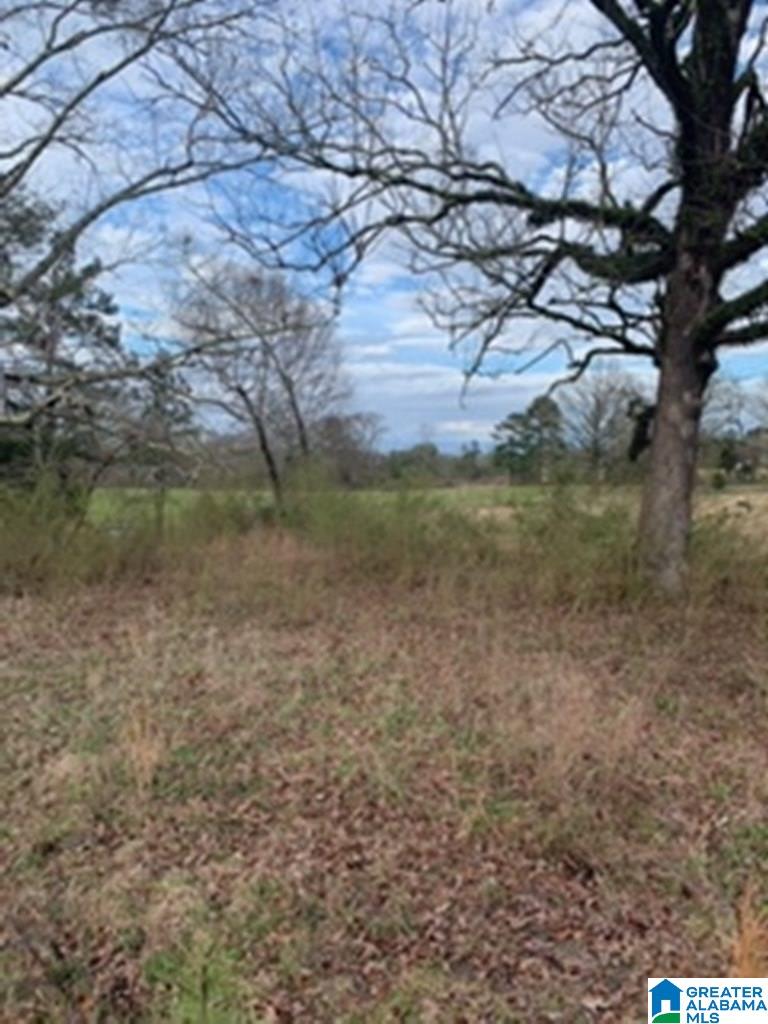 0 Truss Ferry Road, Unit 1 Lincoln, AL 35096 - Photo 7 of 11