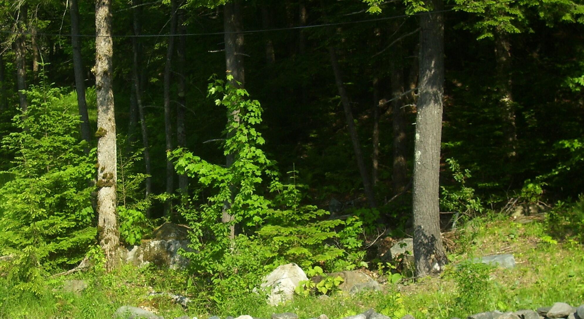 0 Moulton Hill Road Sebec, ME 04481 - Photo 1 of 1 Acker Sunset Ridge 025 (2)