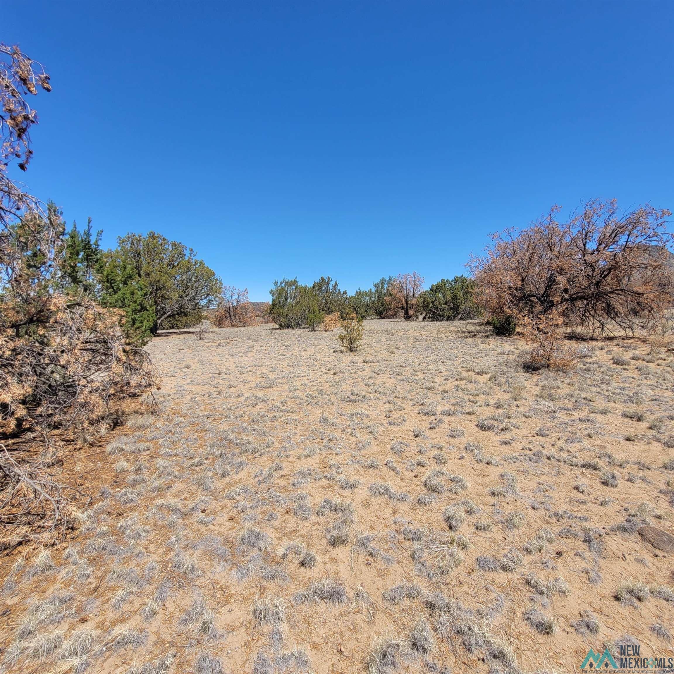47 Southern Trail, Unit 48 47 Datil, NM 87821 - Photo 8 of 46 Gallery Image 8