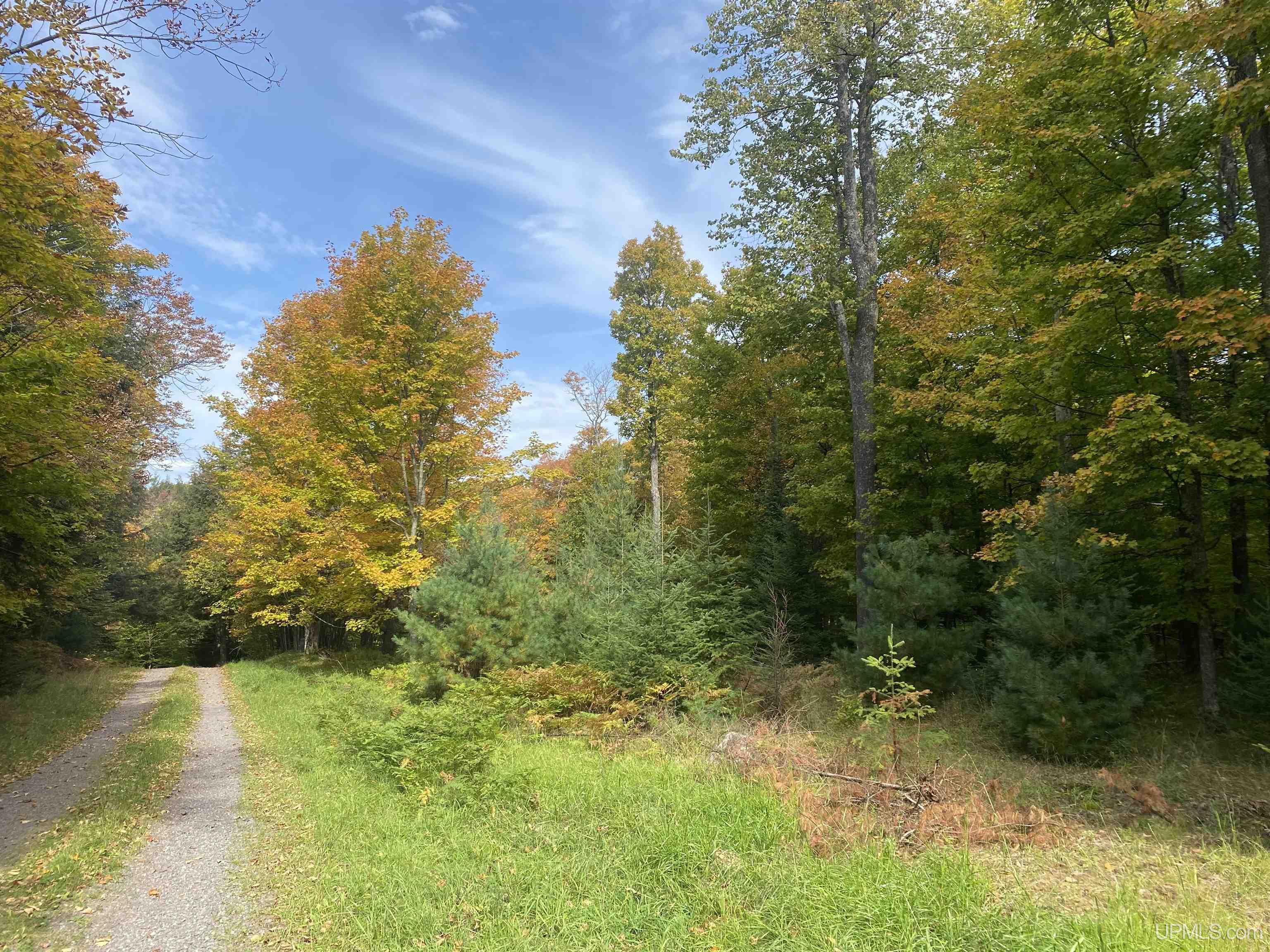 13-14 Grace Lake Road Watersmeet, MI 49969 - Photo 10 of 23