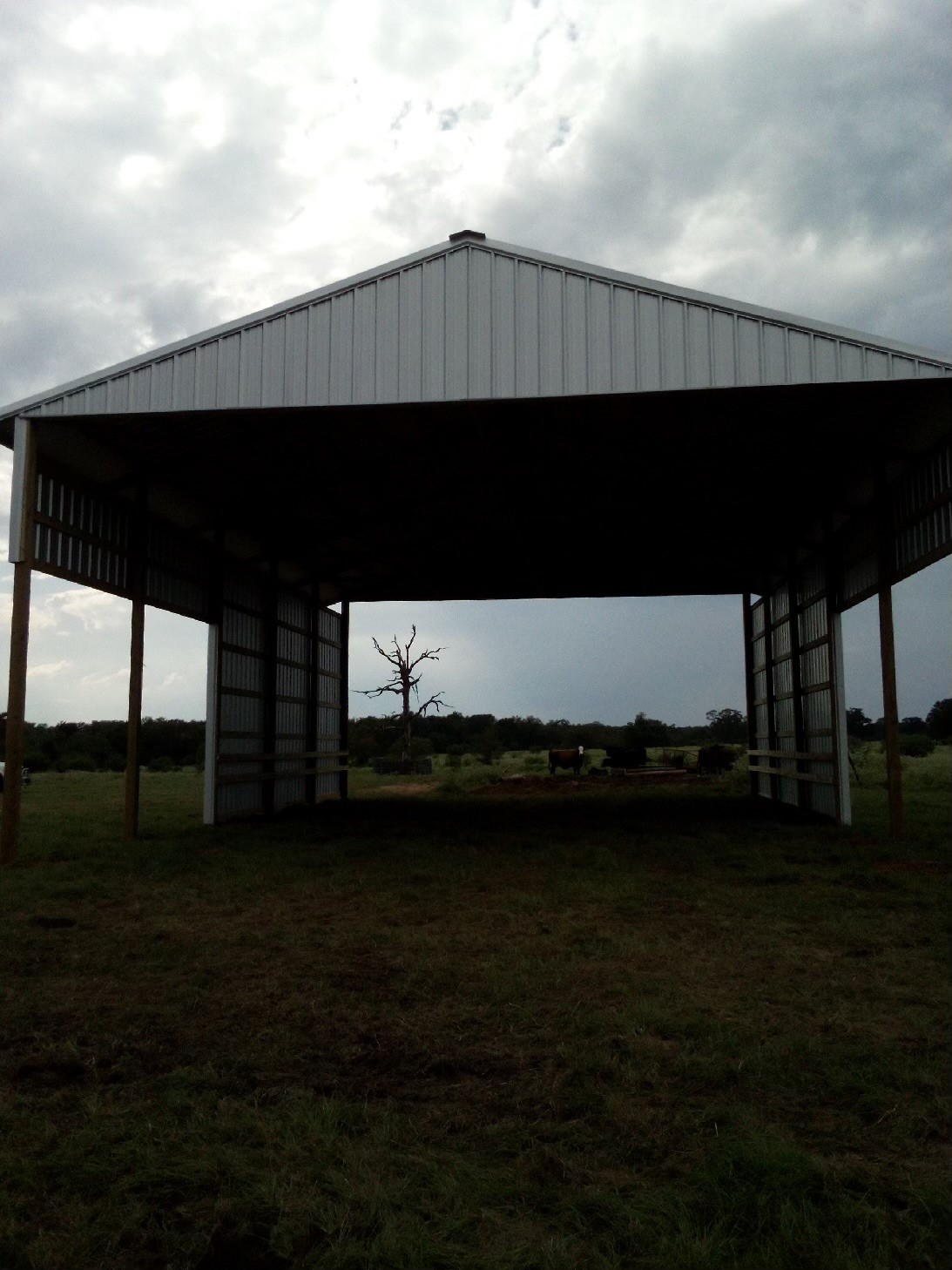 Tbd Prairie Street Normangee, TX 77871 - Photo 5 of 5