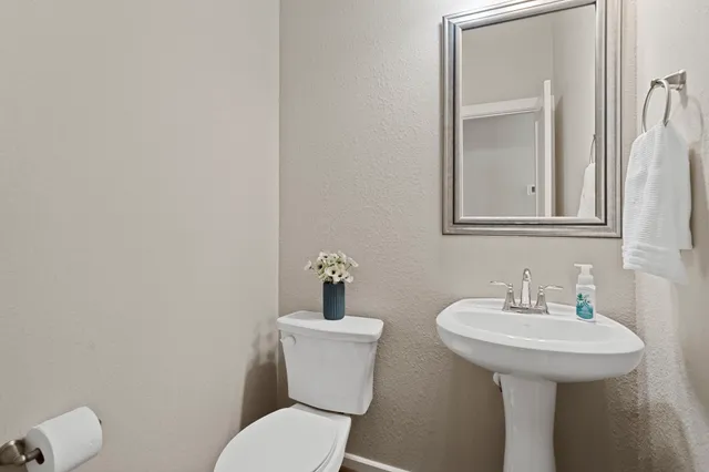 a view of a swimming pool with a garden and plants