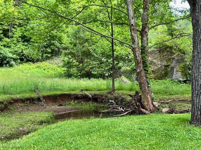 Munday Road Elizabeth, WV 26143 - Photo 2 of 7