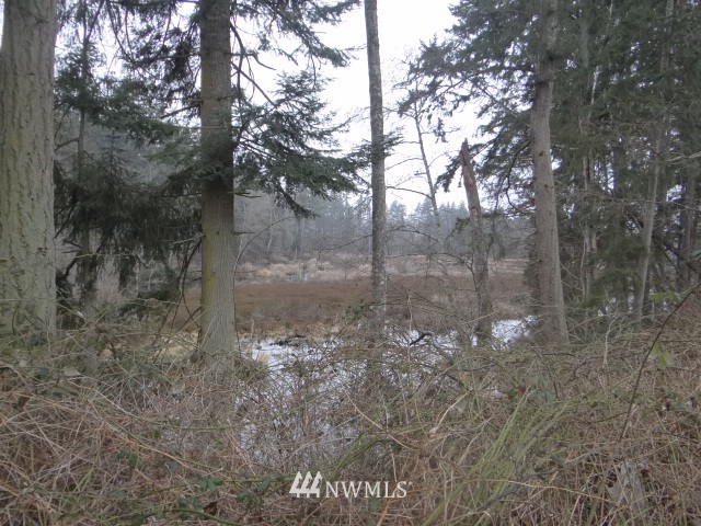 4863 Reindeer Road Freeland, WA 98249 - Photo 6 of 25 Gallery Image 6