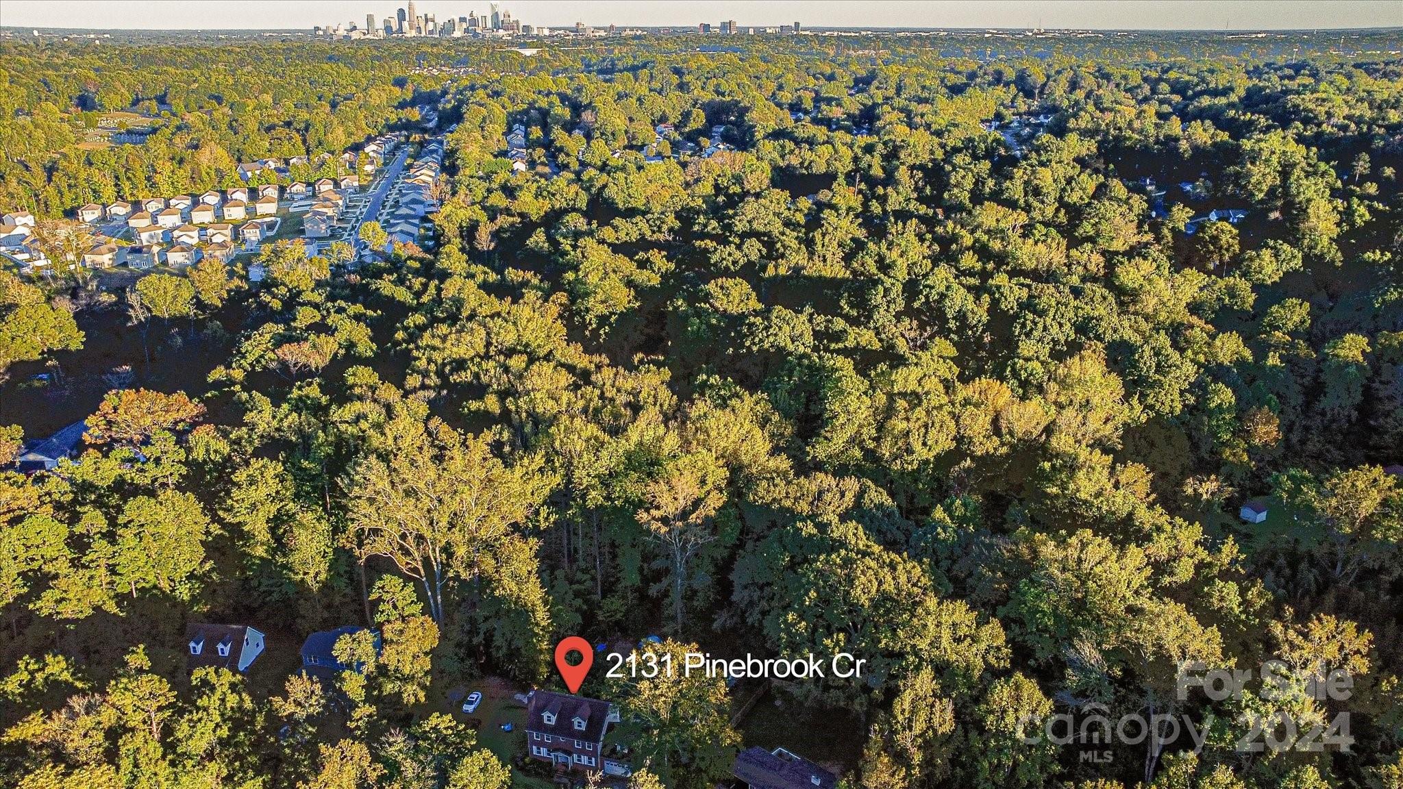 2131 Pinebrook Circle Charlotte, NC 28208 - Photo 23 of 23 view of city and mountain