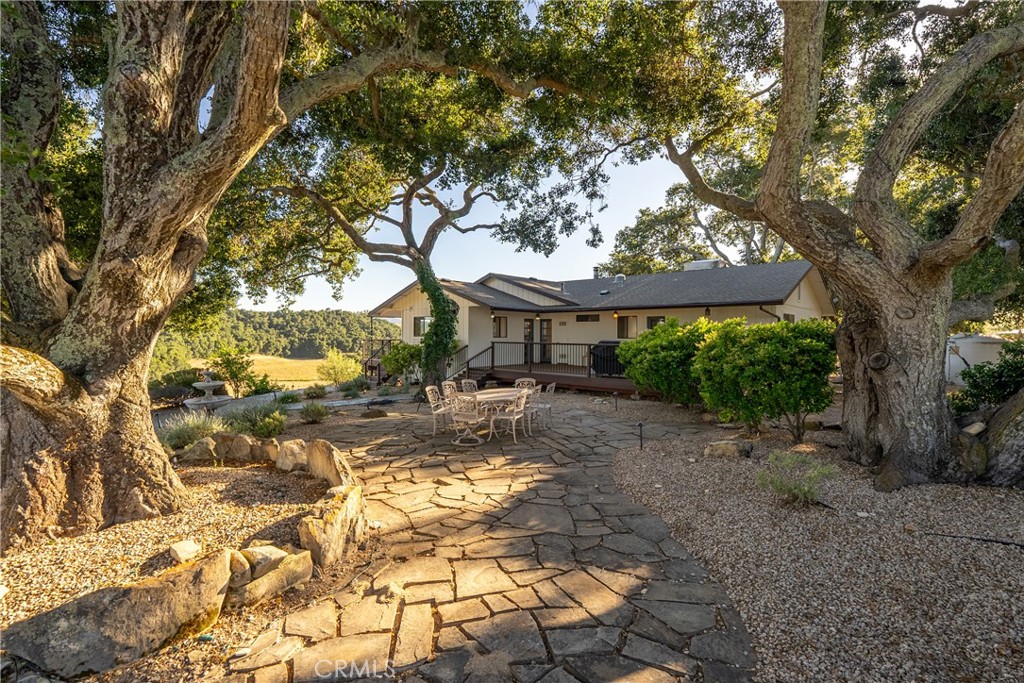 115 Booker Road Templeton, CA 93465 - Photo 21 of 76 a view of a yard with plants and large trees